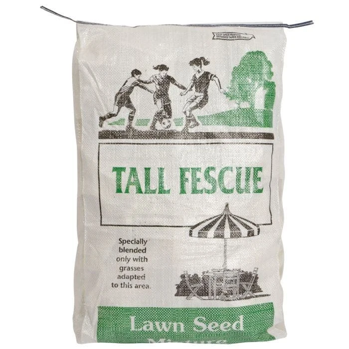 Turf Type Tall Fescue 1 Turf Type Tall Fescue