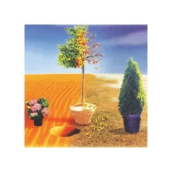 BioPlex Transplant Concentrate & Plant Enhancer