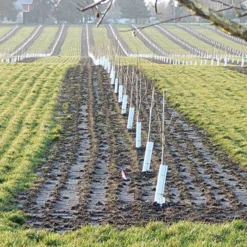 Tree Guard Corrugated Plastic Black White 32in X 12in -Outdoor Garden Store vp cptg 1 1