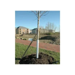 Corrugated Plastic Tree Guards, Bundle Of 25 -Outdoor Garden Store vp cptg 7