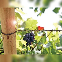 DuraLine Monofilament Trellis Line -Outdoor Garden Store vp duraline 2