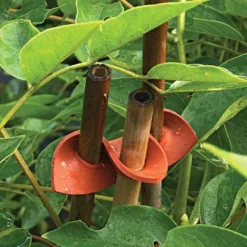 Connectors For Bamboo Stakes Pack Of 500 7 Connectors For Bamboo Stakes Pack Of 500 -Outdoor Garden Store vp gc500x 2