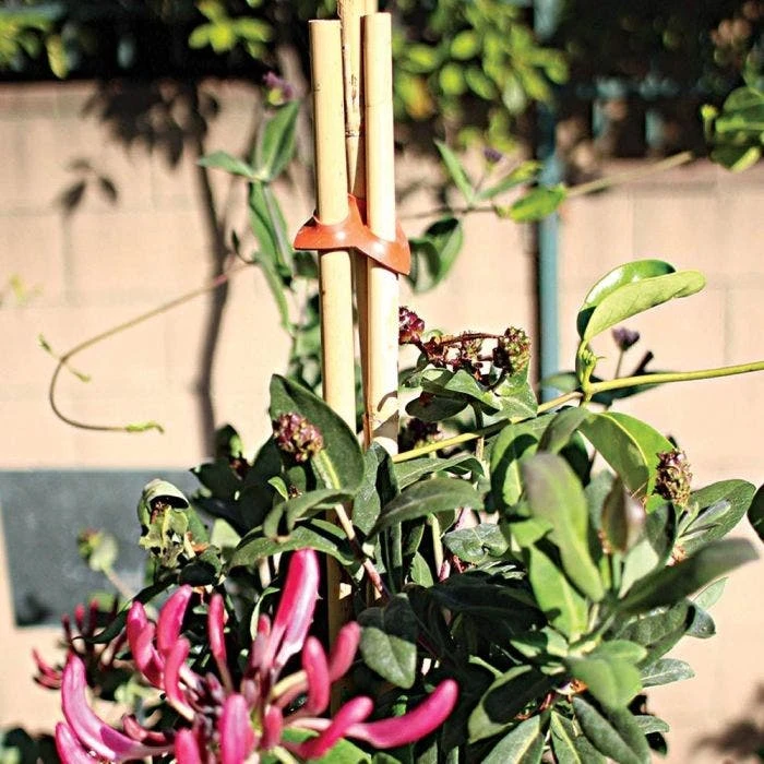 Connectors For Bamboo Stakes Pack Of 500 4 Connectors For Bamboo Stakes Pack Of 500 - Image 4