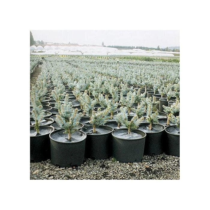 Geodisc UV-Resistant Weed-Blocking Discs 2 Geodisc UV-Resistant Weed-Blocking Discs - Image 2