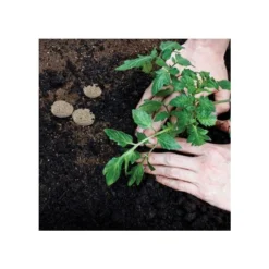 Grotab 3-in-1 Premium Plant Starter (12-8-4) -Outdoor Garden Store vp gt 3