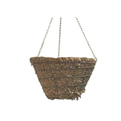 Braun Moss-Lined Hanging Basket