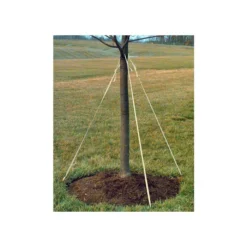 Leonard Green Tree Tie Webbing -Outdoor Garden Store vp ltg 4
