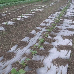 Biodegradable Paper Mulch -Outdoor Garden Store vp pprmlch 8