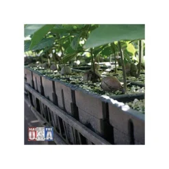 RootMaker Propagation Trays, Case Of 25