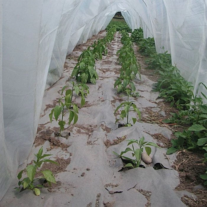 Biodegradable Paper Mulch, 4 Feet By 500 Feet 2 Biodegradable Paper Mulch, 4 Feet By 500 Feet - Image 2