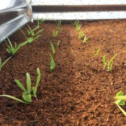 Wonder Soil Expand & Plant Organic Planting Mix, 2.5 Cu. Ft. -Outdoor Garden Store wsepoc25 2