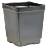 Landmark 4.5-in Square Pot Deep, Case Of 375