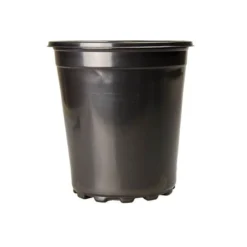 Landmark Plastics 8.5-in Trade 2 Gallon Pot, Case Of 100